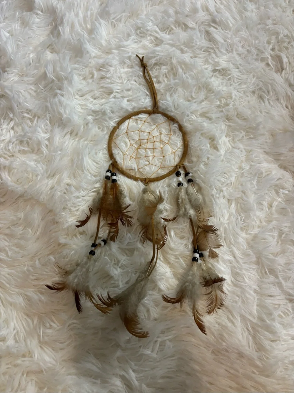 Dream Catcher